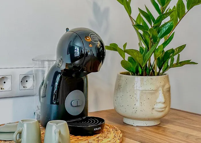 Bohemian Hideaway Historic Center Parking Sofie